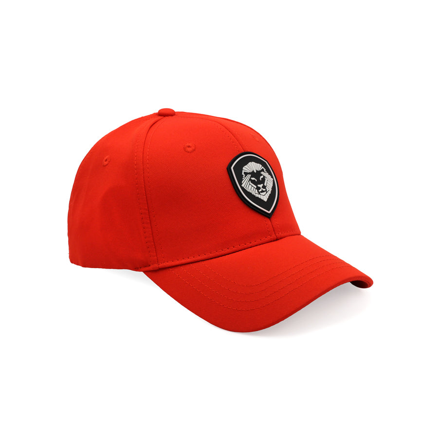 Kids VT Shield Logo Future Looks Bright Red Snapback Hat