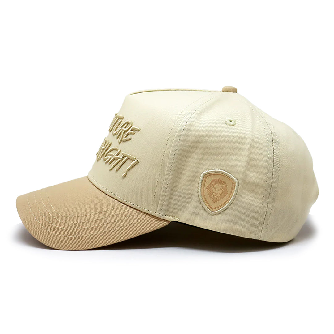 Future Looks Bright Beige Snapback hat