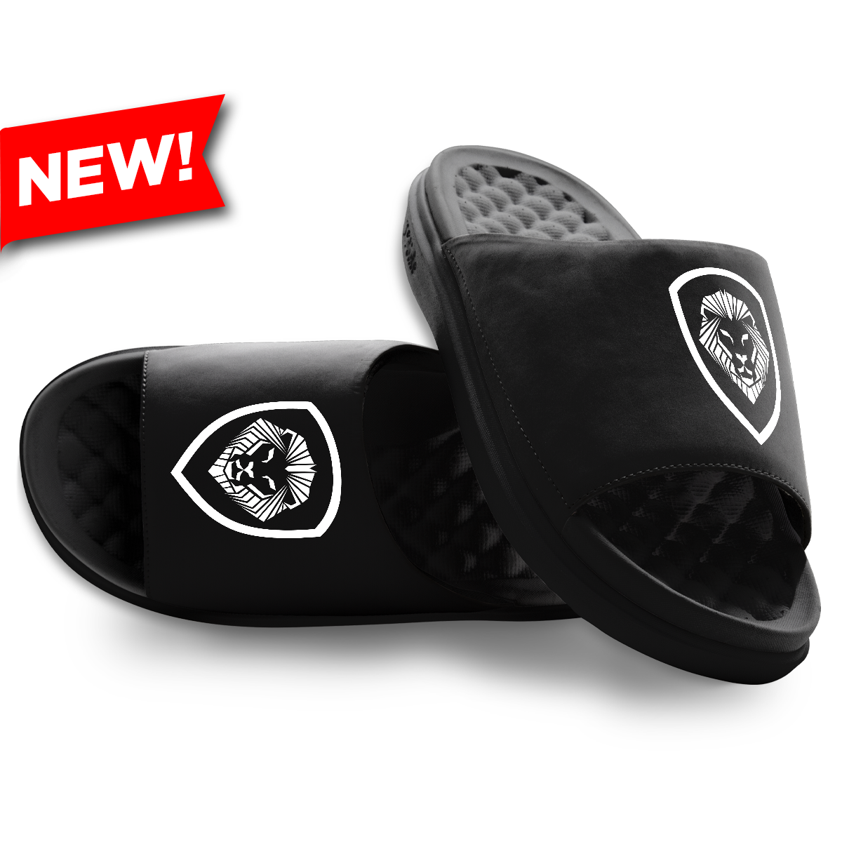 Valuetainment Lion Crest Primary Motive Slides