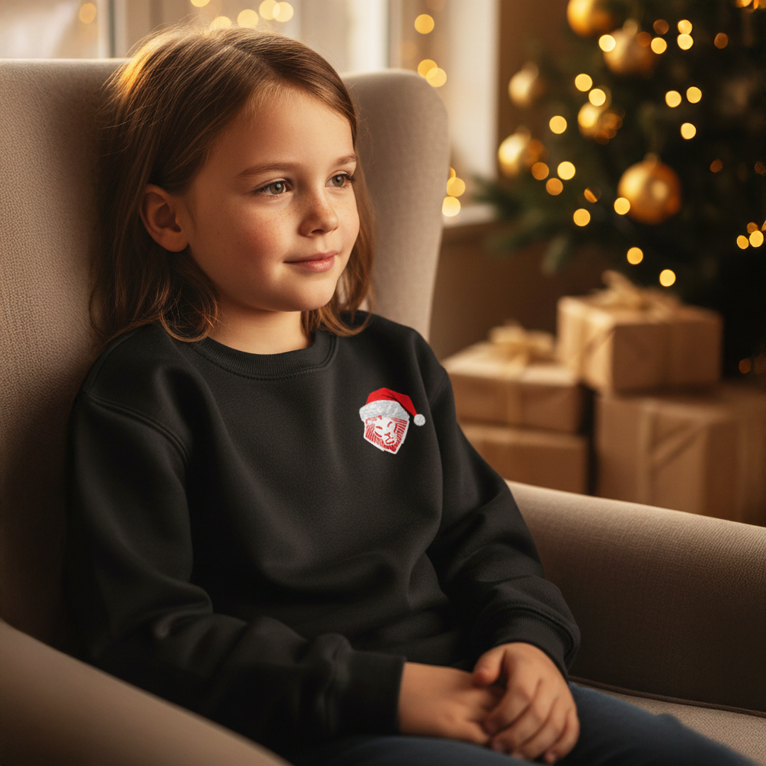 Kid's Merry Christmas Crewneck Premium Sweatshirt