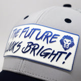 Future Looks Bright Dual Tone Gray and Blue Gradient Logo Snapback Hat