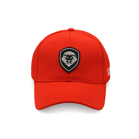 Kids VT Shield Logo Future Looks Bright Red Snapback Hat