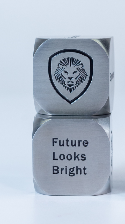 Stainless Steel Dice Paper Weight