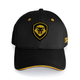 Future Looks Bright Flex Fit Hat - Black & Gold