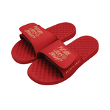 Future Looks Bright Lion Legacy Red & Gold Comfort Slides