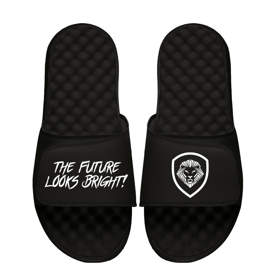 Future Looks Bright Lion Shield Black and White Comfort Slides