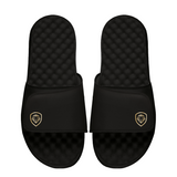 Future Looks Bright Sleek Lion Shield Black and Gold Comfort Slides