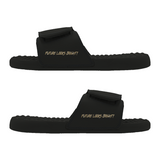 Future Looks Bright Sleek Lion Shield Black and Gold Comfort Slides