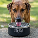 Future Looks Bright Valuetainment Black YETI Dog Bowl 4 oz